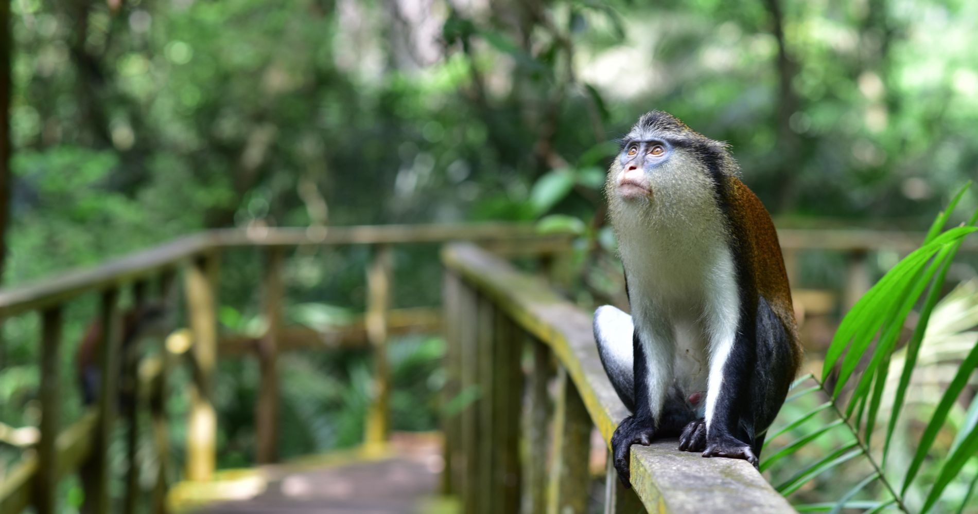 lekki conservation centre