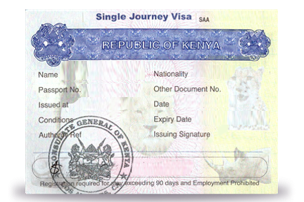 single entry visa sample