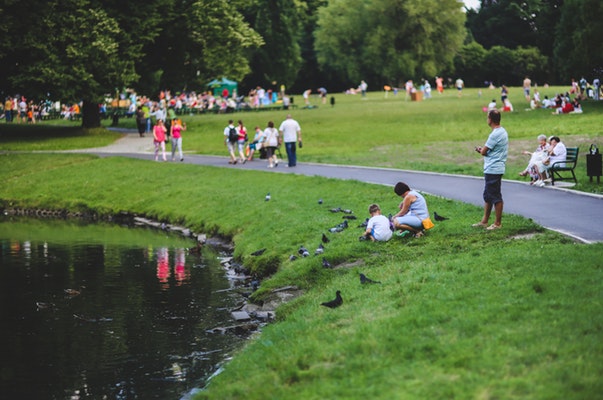 people in the park