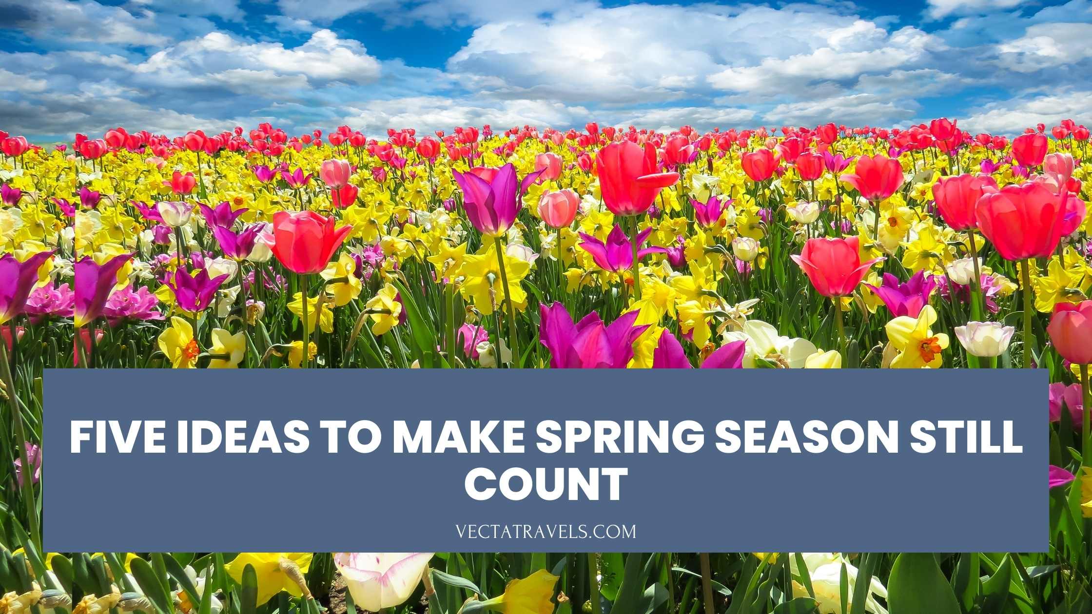 Five Ideas to Make Spring Season Still Count